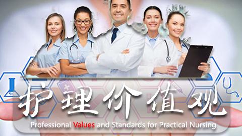 护理价值观 